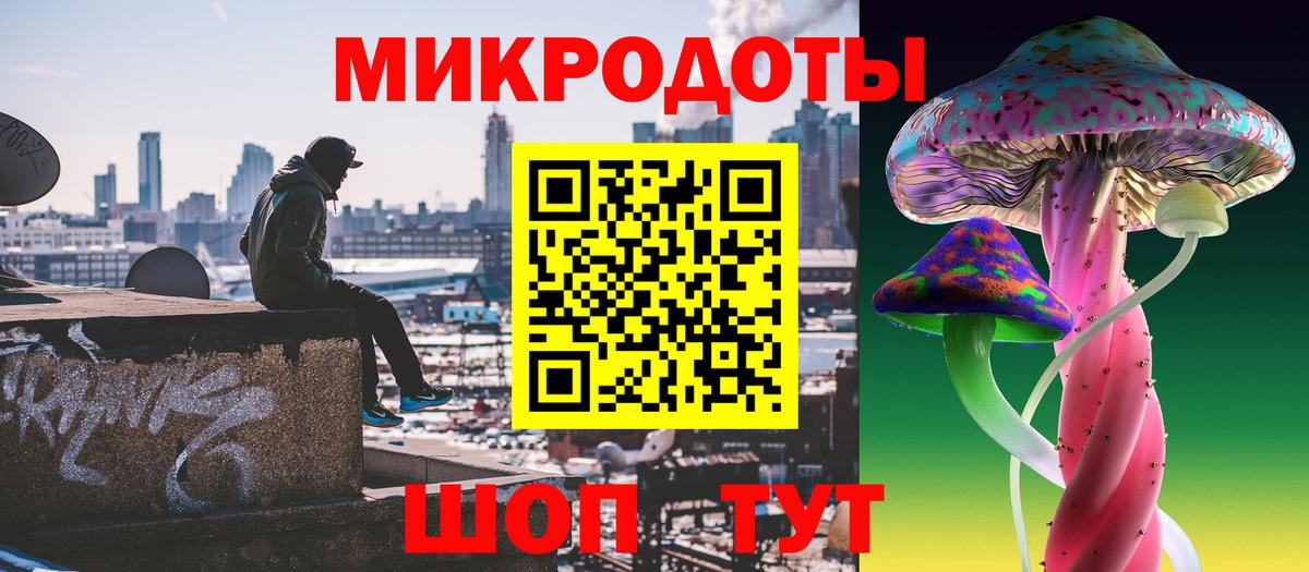 Галлюциногенные грибы Psilocybine cubensis Звенигород